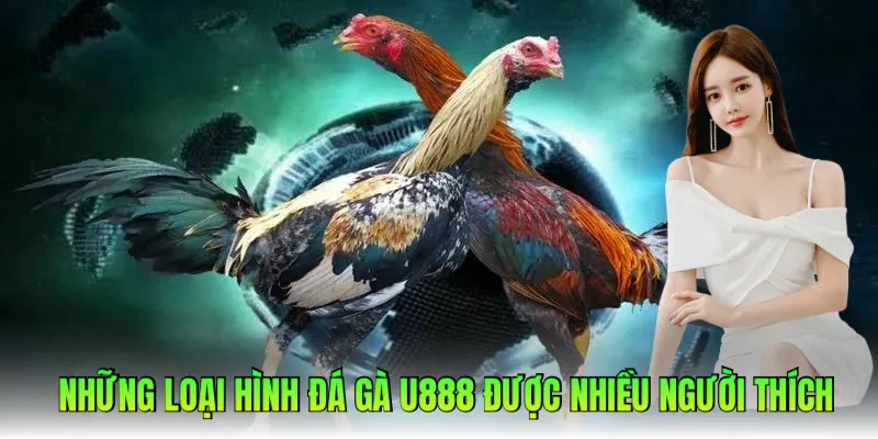 Các hình thức đá gà U888 được nhiều anh em chọn