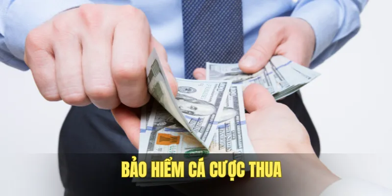 Bảo hiểm chơi thua game bắn cá, slots, thể thao