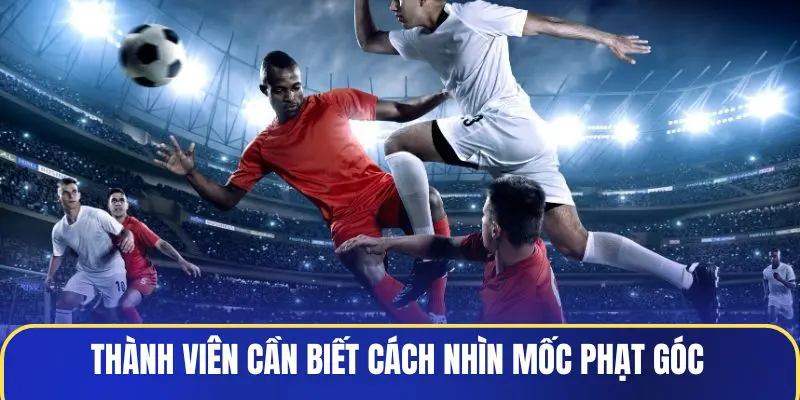 Thành viên cần biết cách nhìn mốc phạt góc