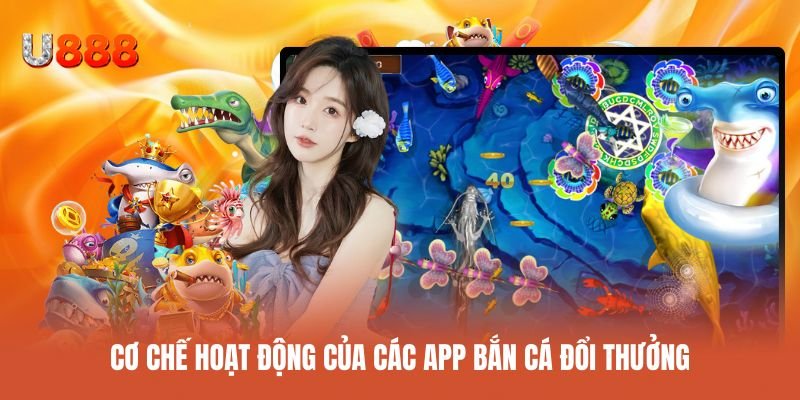Khám phá cơ chế hoạt động của ứng dụng săn sinh vật biển