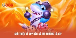Khái niệm và cách vận hành app bắn cá đổi thưởng