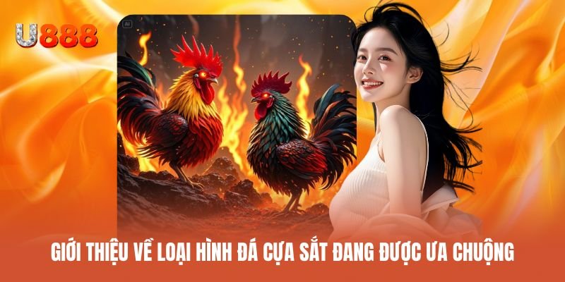Khám phá loại hình đấu cựa sắt đang được yêu thích hiện nay
