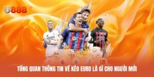 Tìm hiểu kèo Euro là gì dành cho người mới bắt đầu
